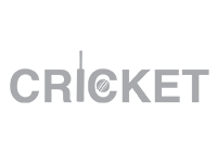 Cricket Icon