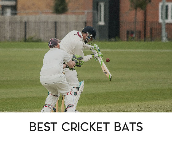 Best Cricket Bats Swag Swami Homepage Card